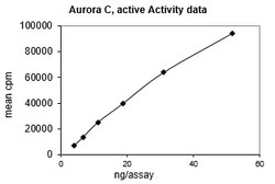 Eurofins DiscoverX Aurora C Protein, Active 10 &mu;g | Buy Online | Eurofins DiscoverX | Fisher Scientific